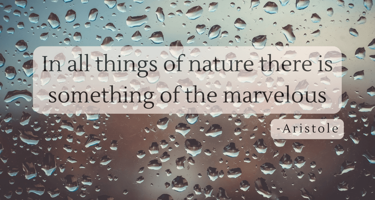 Raindrops bead on a window against a softly blurred outdoor background, overlaid with the quote: “In all things of nature there is something of the marvelous” — Aristotle.