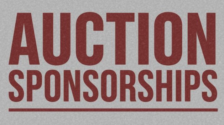 Auction Sponsorships for 2026